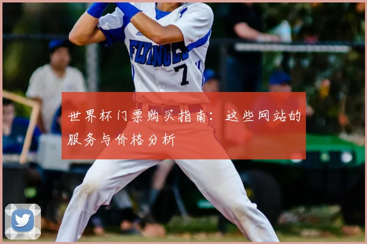 世界杯门票购买指南:这些网站的服务与价格分析